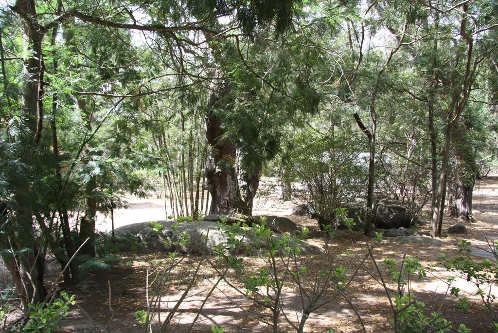 Camping Les Ilots D'Or Porto-Vecchio  Exterior photo